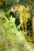 Anders Zorn naken under en gran France oil painting artist